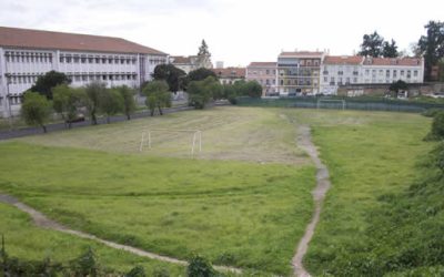 Limpeza das Salésias a bom ritmo
