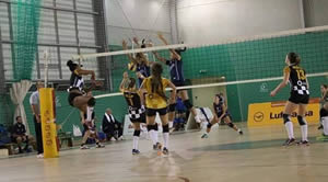 Voleibol 2016/17