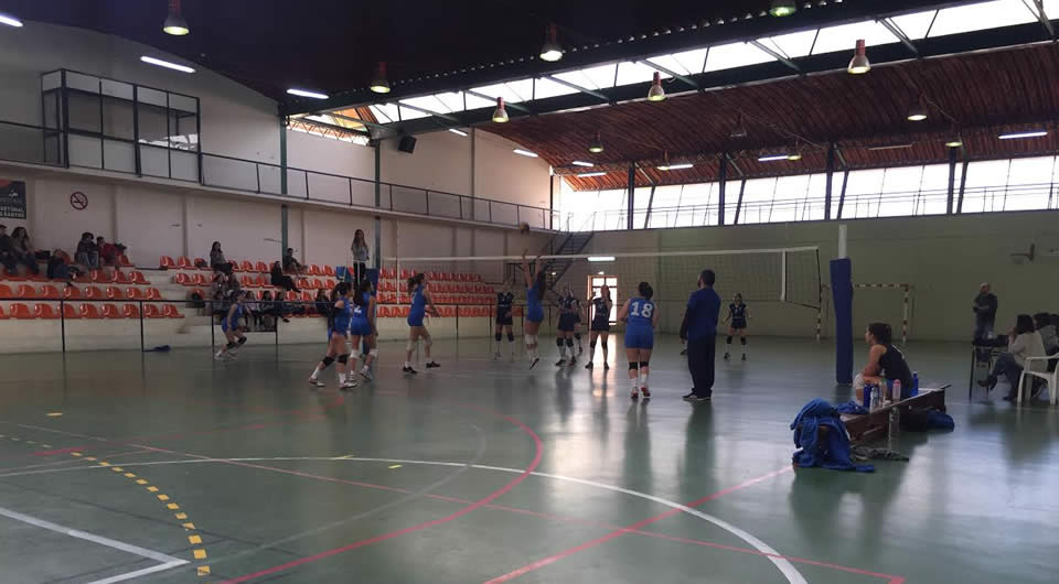 Voleibol Juvenis 2016/17