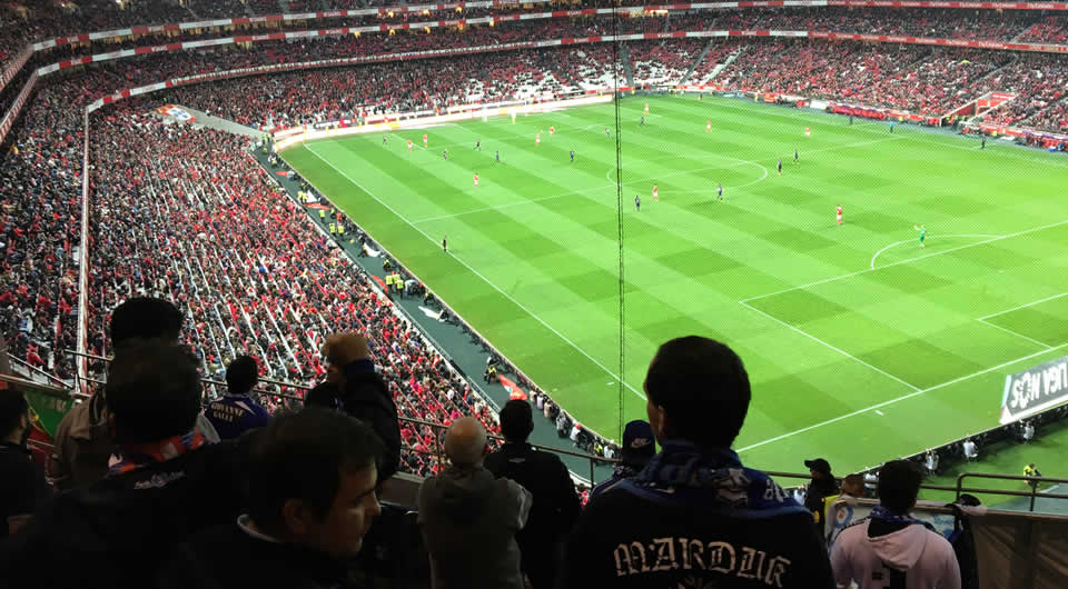 Liga NOS | SLB - CFB