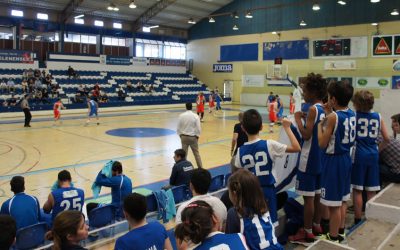 Direcção da Secção de Basquetebol